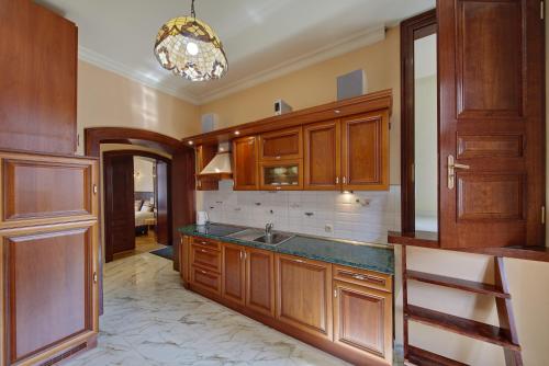 une cuisine avec des armoires en bois et un évier dans l'établissement Apartamenty Tessa Jagiellońska, à Katowice