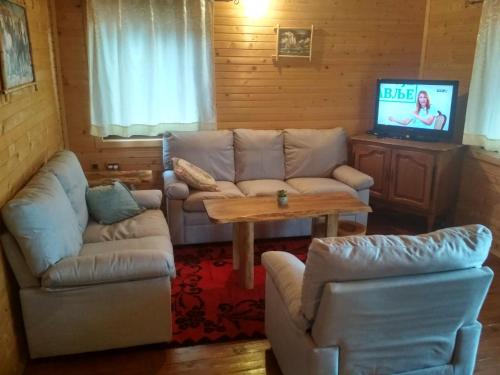 a living room with a couch and a table and a tv at Chalet Kovačević in Žabljak