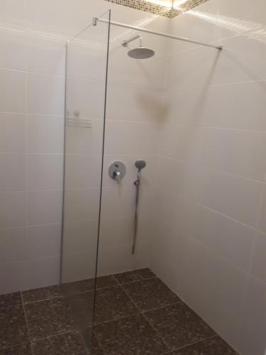 una ducha con puerta de cristal en un baño en Apartments Lutsdorf, en Odessa