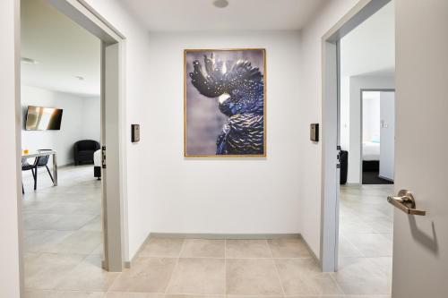 TV a/nebo společenská místnost v ubytování East Maitland Executive Apartments
