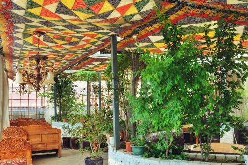 a room filled with lots of potted plants at Gaisang Mêdog Aroma Fragrance Hotel in Lhasa