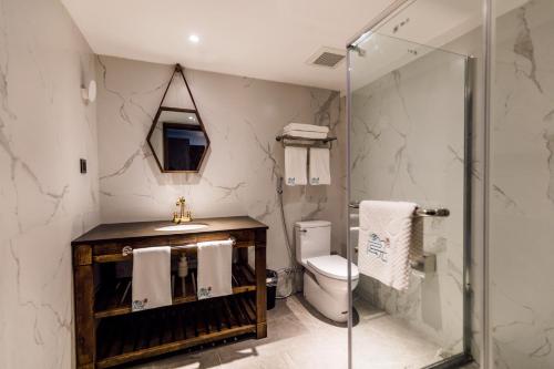 a bathroom with a toilet and a shower at The Western Clouds in Deqing