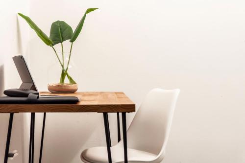 a desk with a laptop and a plant on it at Motel Nomad in Cairns
