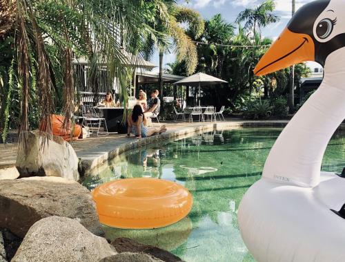 a swimming pool with a rubber duck in the water at Motel Nomad in Cairns