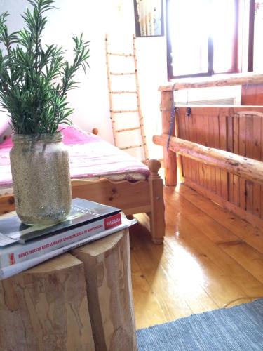 Posezení v ubytování Apartmani Božana Vojinović