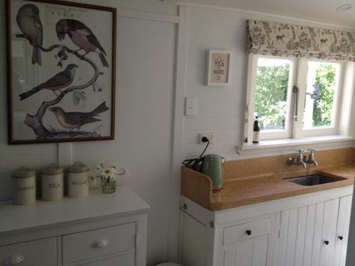 eine Küche mit einem Waschbecken und einem Vogelbild an der Wand in der Unterkunft Country Bliss Cottage in Greytown