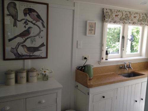 a kitchen with a sink and a bird picture on the wall at Country Bliss Cottage in Greytown