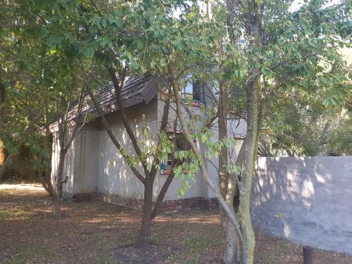 a white house with two trees in front of it at Umuzi Lodge in Secunda