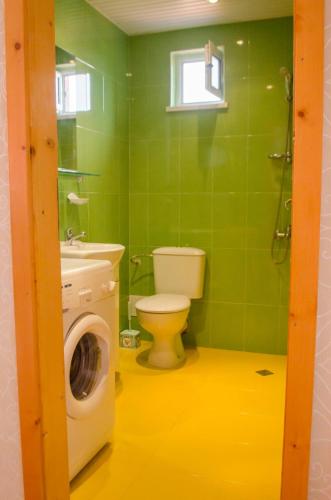 a green bathroom with a toilet and a washing machine at Apartment Raya in Sapareva Banya