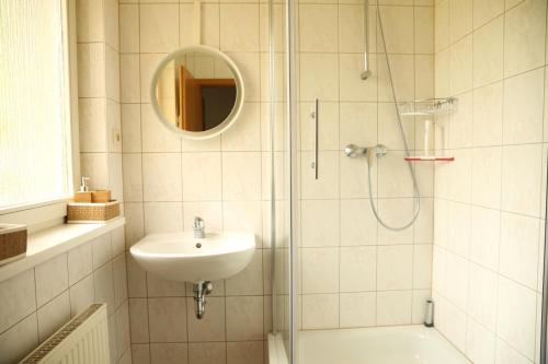 a bathroom with a shower and a sink and a mirror at Seepavillon Rheinsberg in Rheinsberg