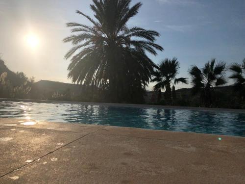 a swimming pool with palm trees in the background at Casa Nimajas in Vera