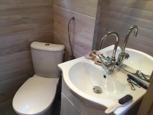 a bathroom with a toilet and a sink at Schwanenvilla in Paraza