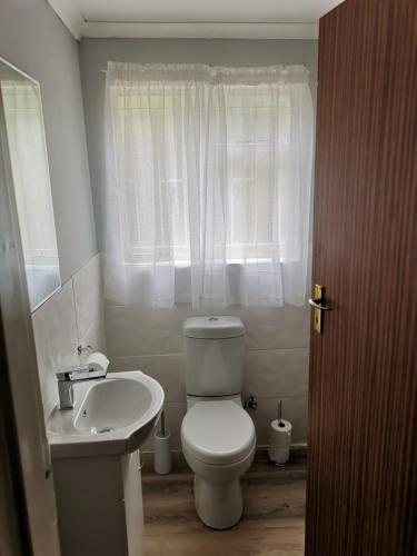 a bathroom with a white toilet and a sink at The Grey Plow in Clarens