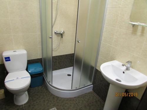 a bathroom with a shower and a toilet and a sink at Salus in Khmelʼnytsʼkyy