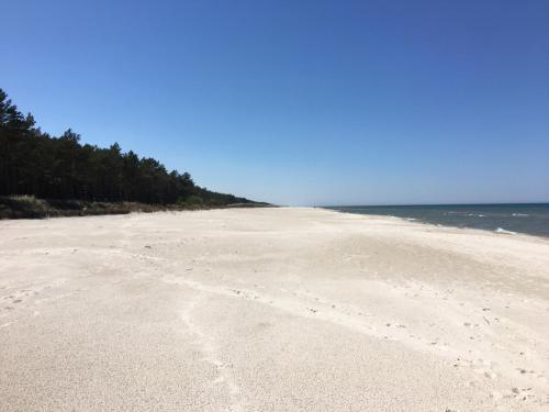 an empty beach with trees on the horizon at Biale Domki Kopalino in Kopalino