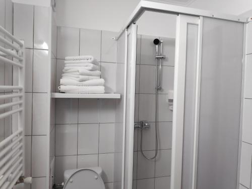 Hostel Caliman tesisinde bir banyo