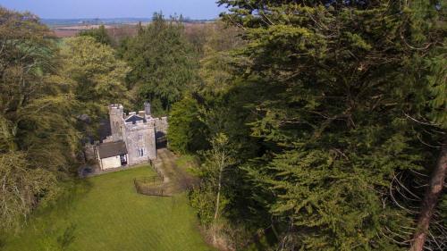 una vista aérea de un antiguo castillo en los árboles en Anne's Grove Miniature Castle en Castletownroche