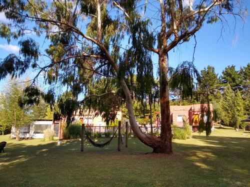Taman di luar Icalma De La Sierra