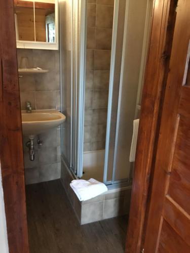 y baño pequeño con lavabo y ducha. en Haus Sonnleitn en Sankt Johann im Pongau