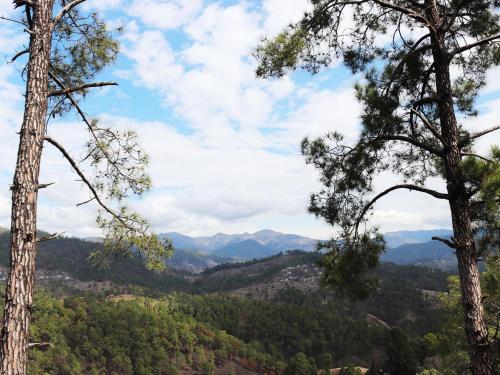 a view of a valley with trees and mountains at Shivalik River Retreat in Almora