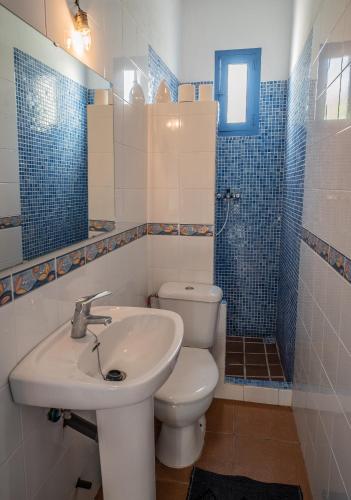 a bathroom with a sink and a toilet and a mirror at Casa del Capitan in Níjar