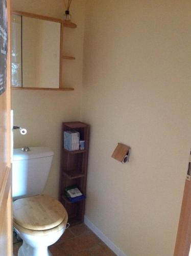 une salle de bain avec des toilettes blanches dans une chambre dans l'établissement Chambre chez l'habitant au centre ville, à La Flèche