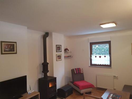 TV a/nebo společenská místnost v ubytování Apartments Bosco