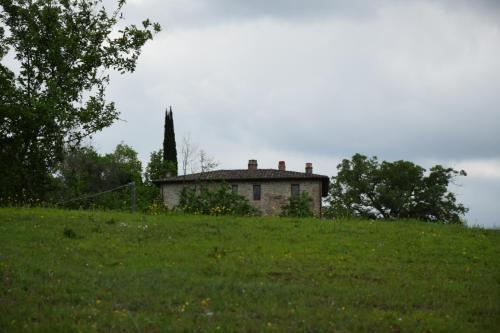 a house sitting on top of a green field at Agriturismo Il Poggio degli Scoiattoli in Perugia
