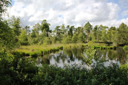 a view of a river with trees in the background at Fachwerk-Treppenspeicher, Ruhe auf dem Land, Haustiere willkommen, Leihfahrräder, 24-7 check in in Kirchlinteln