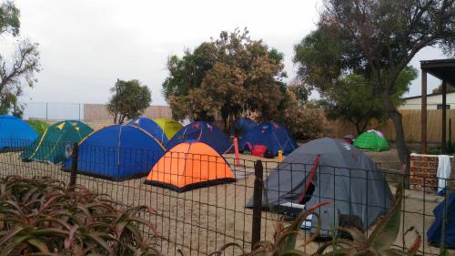 a bunch of tents are lined up behind a fence at Beteyà Hostel Don Bosco in Catania