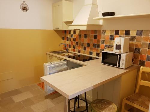 a kitchen with a counter with a microwave on it at Le Maraclà Country House in Iesi
