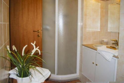 a bathroom with a shower and a sink and a plant at Casa Mary apartments in Tignale