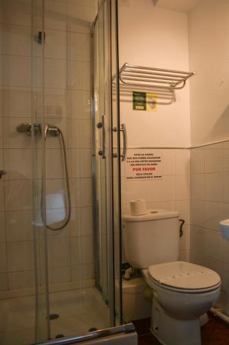 a bathroom with a toilet and a shower at Pension Reconquista in Cangas de Onís