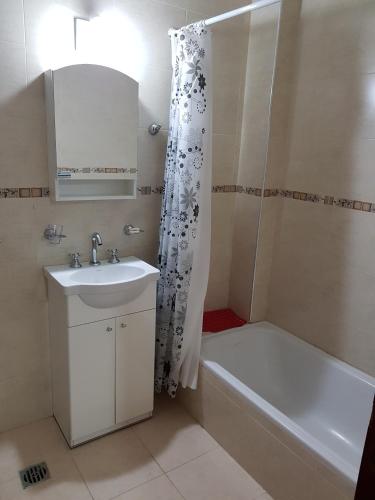 a bathroom with a sink and a shower and a tub at Departamenos Llanos in Termas de Río Hondo