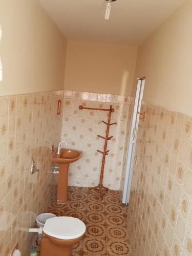 a bathroom with a toilet and a sink at Hotel Nove De Julho in Marília