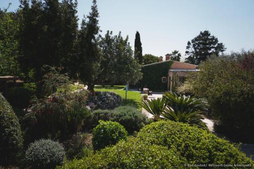 a garden with bushes and trees and a house at Sa Vaqueria in Porto Cristo