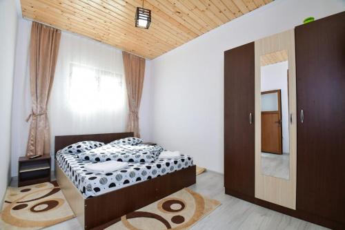 um quarto com uma cama e um espelho em Pensiunea Cristina em Vişeu de Sus