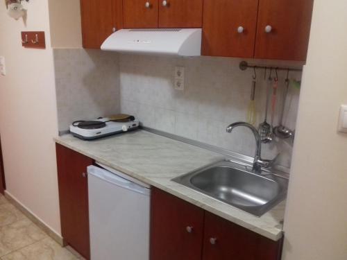 Kuchyň nebo kuchyňský kout v ubytování VILLA TASOS