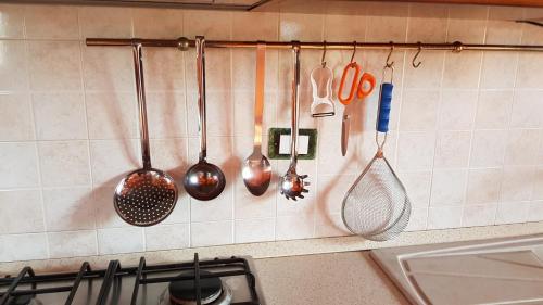 a kitchen counter with utensils hanging on a wall at Domus Quarticelli Costa dei Trabocchi in Torino di Sangro