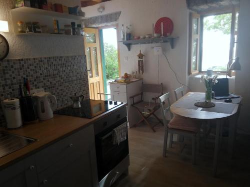 a kitchen with a sink and a table with a counter at House Kaja in Jablanac