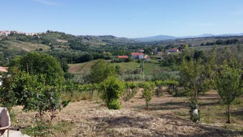 a view of a vineyard with trees and houses at Domus Quarticelli Costa dei Trabocchi in Torino di Sangro