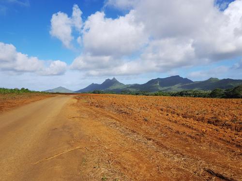 a dirt road in a field with mountains in the background at Case Latanier in Beau Champ