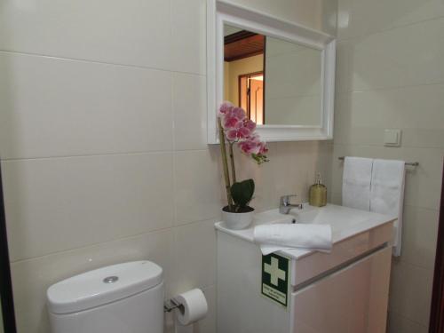 a bathroom with a toilet and a sink and a mirror at Bay House with pool 1 minute from the beach in São Martinho do Porto