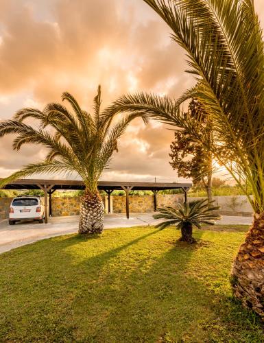 two palm trees in a parking lot with a car at Nectar luxury apartments in Sitia