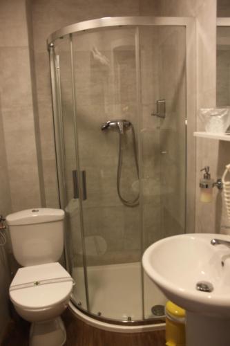 a bathroom with a shower and a toilet and a sink at Casa Boca in Cluj-Napoca