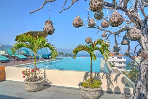 un grupo de palmeras en macetas junto a una piscina en Nayri Life & Spa 101, en Puerto Vallarta