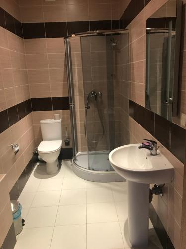 a bathroom with a toilet and a shower and a sink at Садиба у Вишкові in Vyshkiv