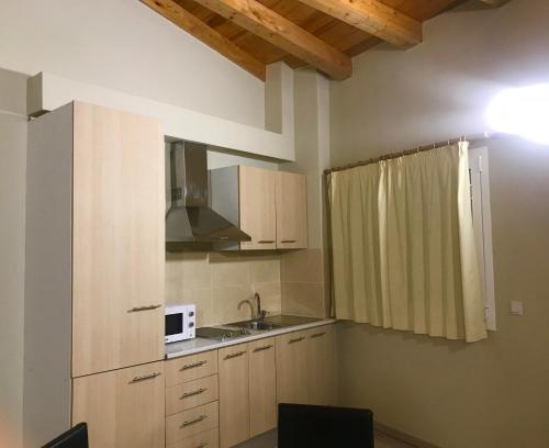 a small kitchen with wooden cabinets and a microwave at Apartamentos Giuliano in Empuriabrava