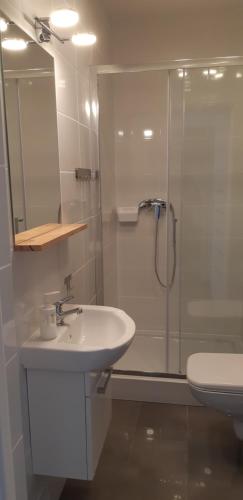 a bathroom with a shower and a sink and a toilet at Willa Park Międzyzdroje in Międzyzdroje