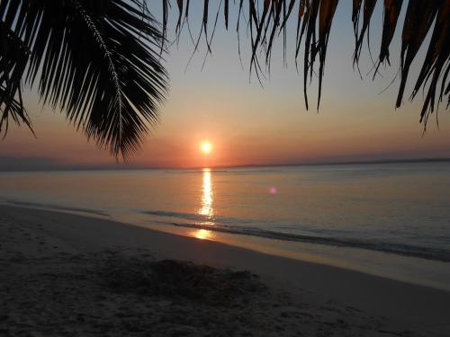 a sunset on the beach with a palm tree at Residence Monique in Ile aux Nattes